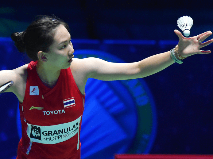 灰熊一波追 灰熊一波追