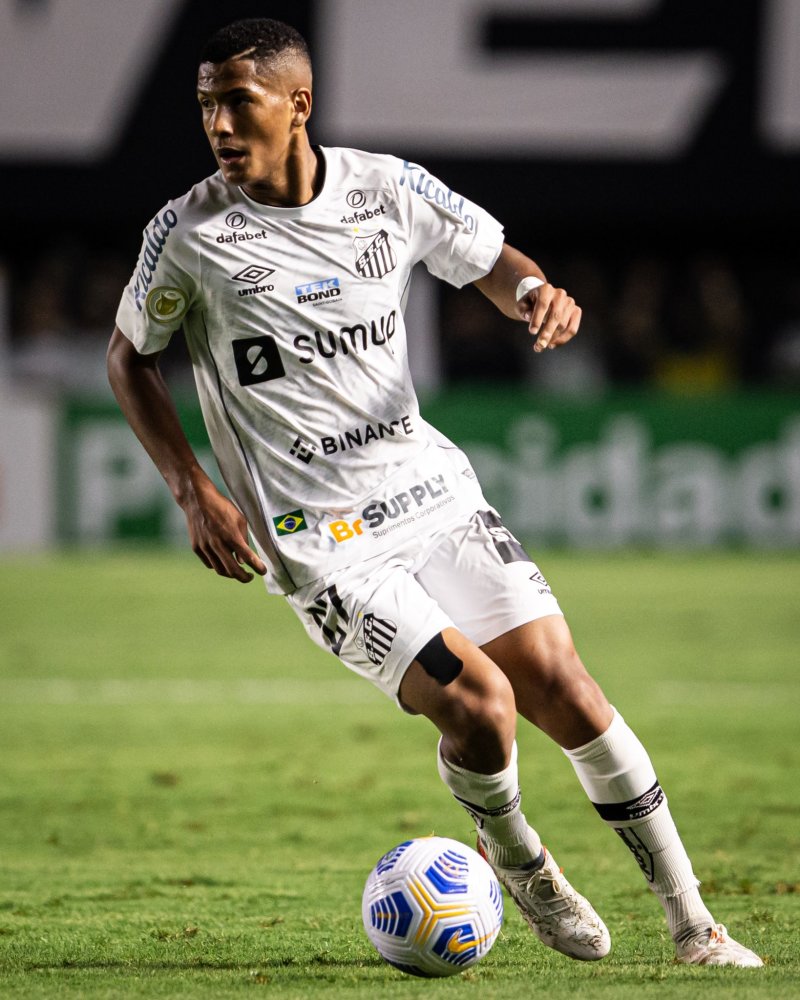 战术秩序 战术秩序