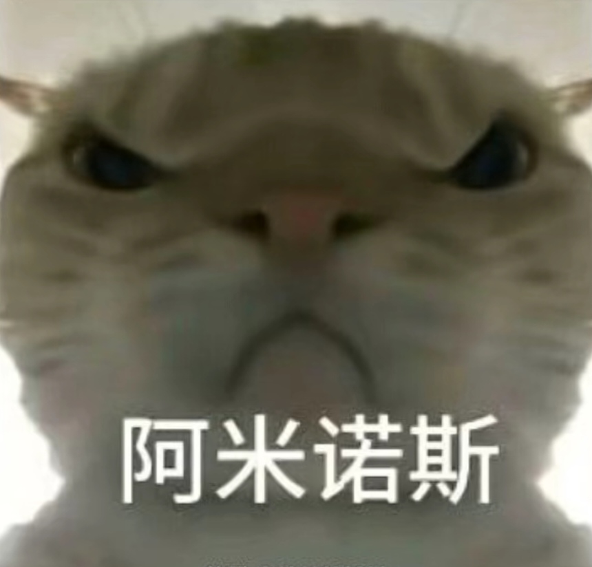 饥饿游戏 饥饿游戏